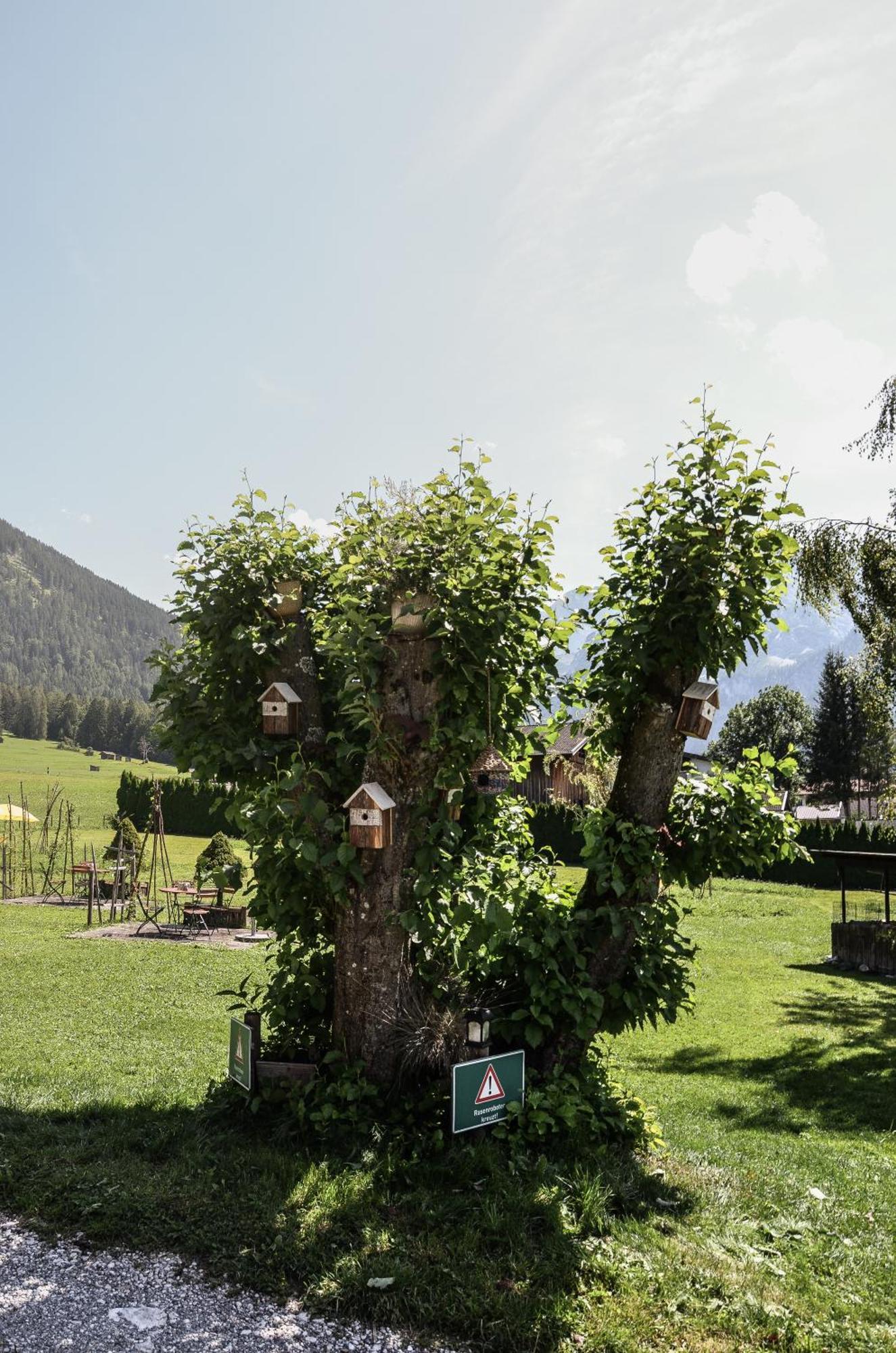 Hotel Ehrwalderhof Exteriör bild